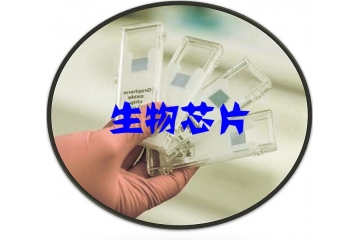 生物芯片行业技术开展水平分析（附报告目录）