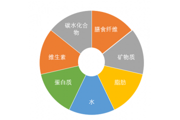 营养素产业开展现状分析（附报告目录）