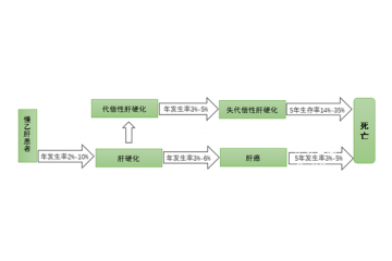 中国系全球乙肝病毒中高度流行区，用药市场规模大（附报告目录）