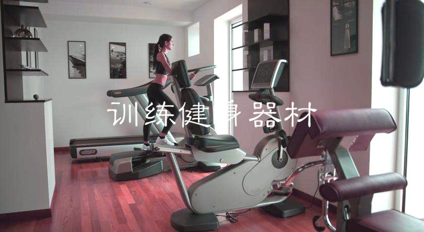 2020-2026年训练健身器材行业市场调查研究及开展前景预测报告(图1)